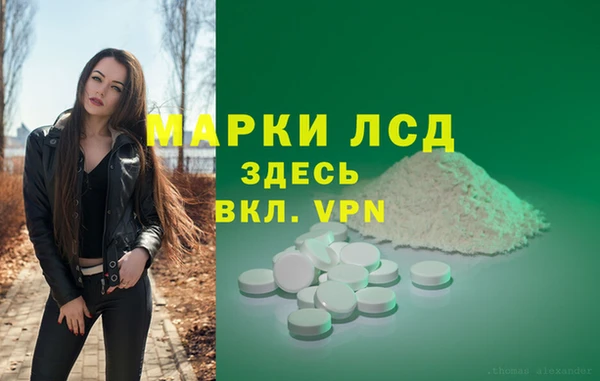мдпв Михайлов