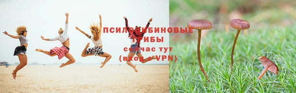 крисы Михайловка