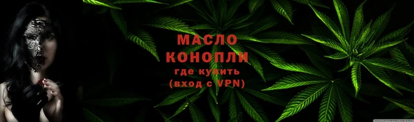 мдпв Михайлов