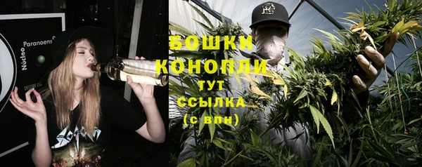 крисы Михайловка