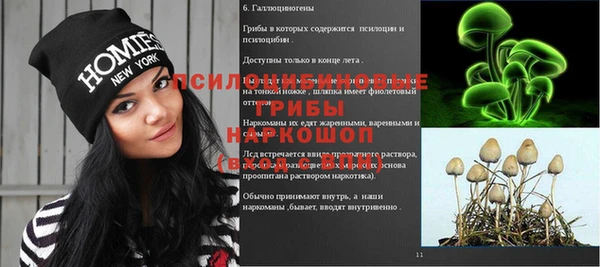 мдпв Михайлов