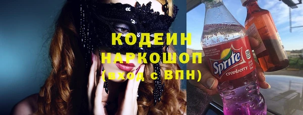 мдпв Михайлов